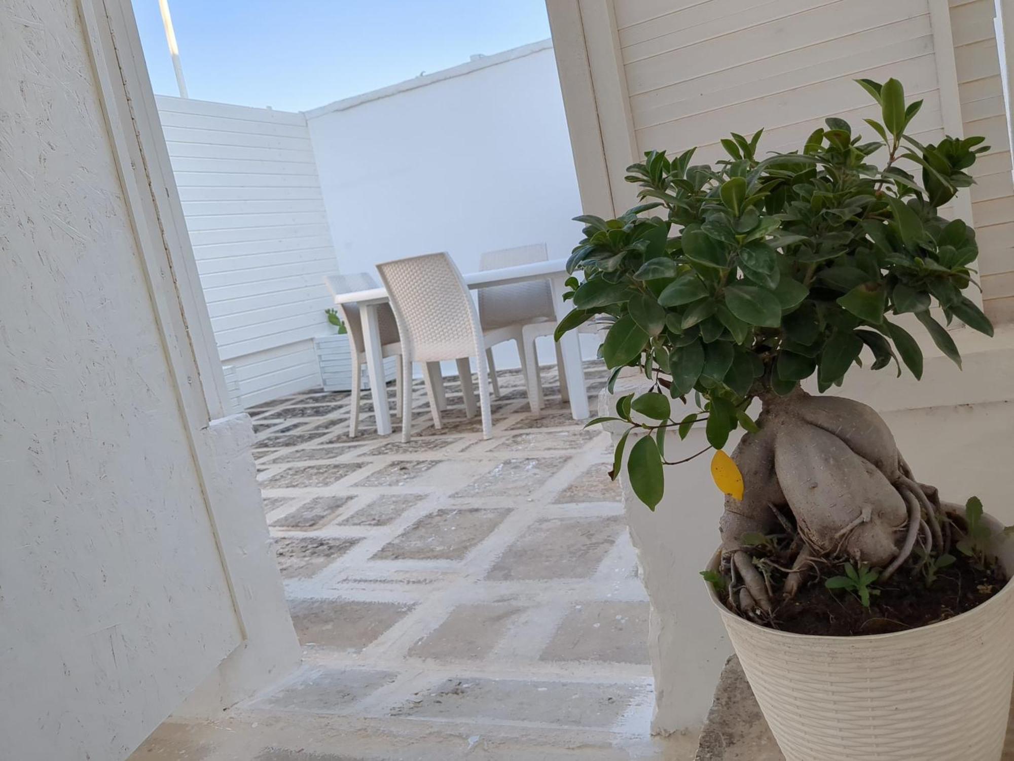 Arcosalento Διαμέρισμα Galatina Δωμάτιο φωτογραφία